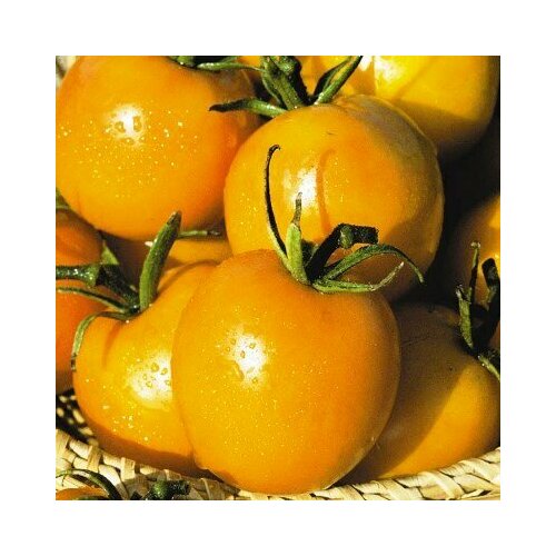 ������ ������ ������ ����� �� ����� ������� 20�� ����� ������� (����time) ����