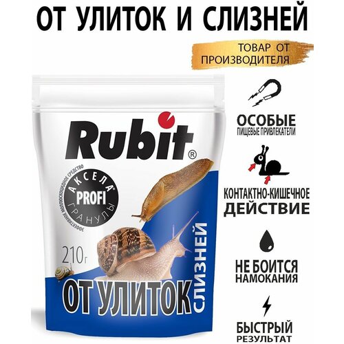 ������ ������ �������� �� ������ � ������� ������ 210� ����� ����