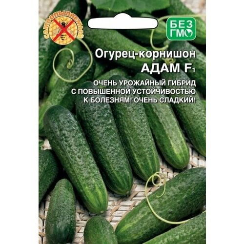 ������ ������ ������������� ������ ������ ���� F1 ����