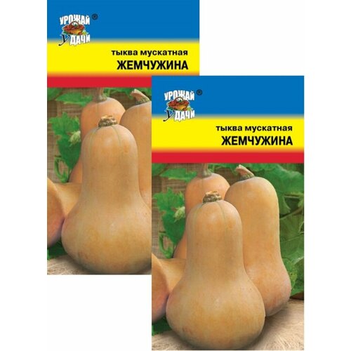 ������ ������ ����� ��������� ��������� (1 �), 2 ������ ����