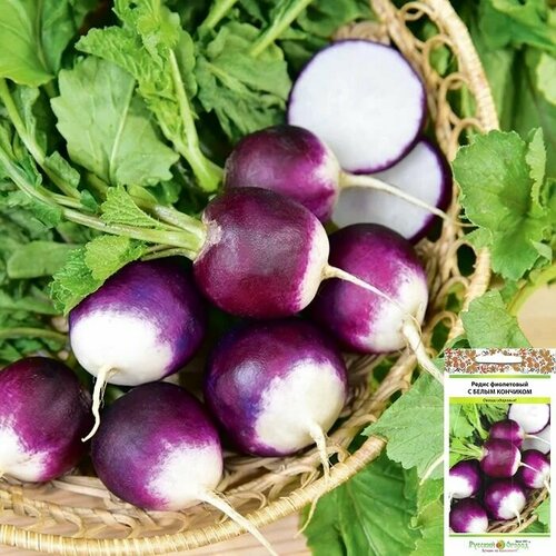 ������ ������ ����� ���������� � ����� �������� ����