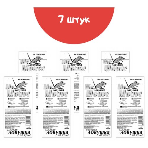 ������ ������ ������� ������� �� ���� � ����� Mr.Mouse 7 ������� ����