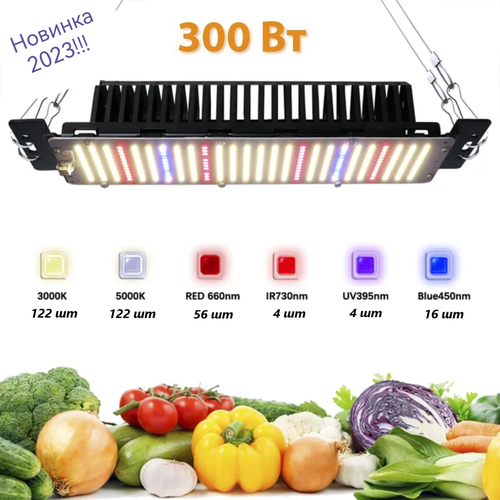 ������ ������ ��������� Sunlight ������ ������, 50�� ��� �������� ����