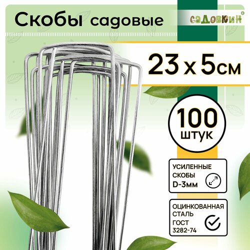 ������ ������ ����� ������� �-�����, ������ 23�� � 5��, d-3��, (100 ��) ����