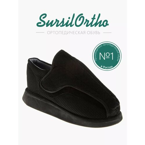 ������ ������ ��������������� ������� ����������������� ������ 09-101 ����