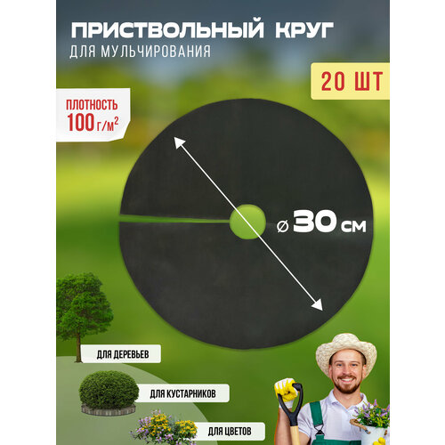 ������ ������ ������������ ���� ��� ������������� 100 ��/�2, ������� 30 ��, 20 �� ����