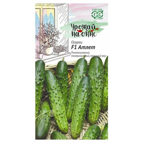 ������ ������ ������ ������ ������ �� ���� ������ ����� F1 10 ��, 2 ��. ����