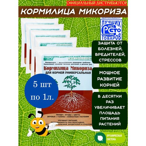 ������ ������ �������� ��� ������� � ����� ������, ������� � ������ ��������, 1� � 5 �� ����