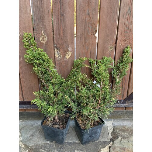 ������ ������ ������������ ����� �3. 60�� ����