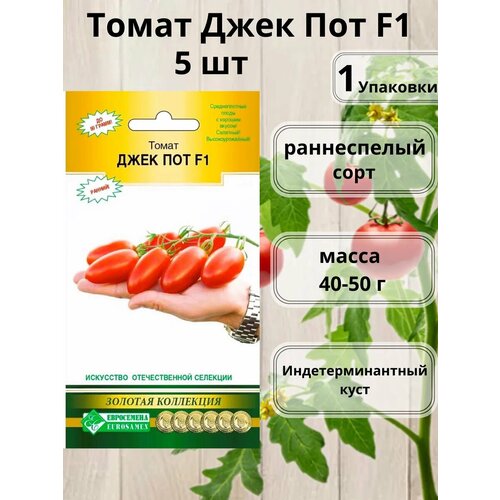 ������ ������ ����� ���� ��� F1, 1�������� ����