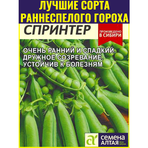 ������ ������ ������ ����� �������� ����