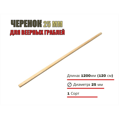 ������ ������ ������� ���� 25, L-1200, 1 ���� - ��� ������� ������� ����