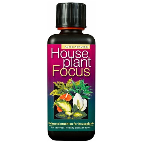     Houseplant Focus  300   -     , -,   