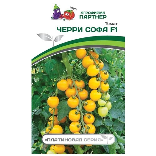 ������ ������ ������ ������ ����� 