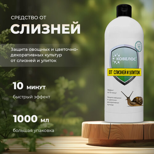 ������ ������ ������� - �������� �� ������� � ������ ����