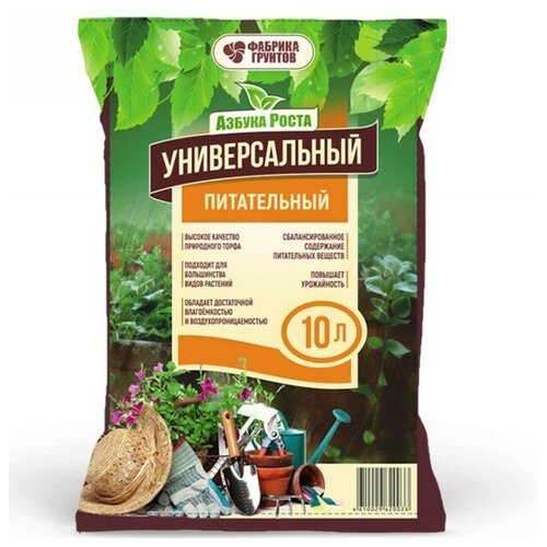 ������ ������ ����� ��� �������� ������������� 10� ����