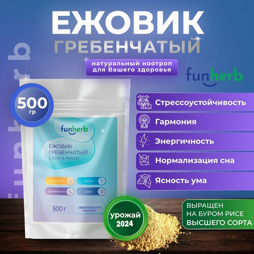 ������ ������ ������ ����������� �������� ���, ������� ������, ��������� ����