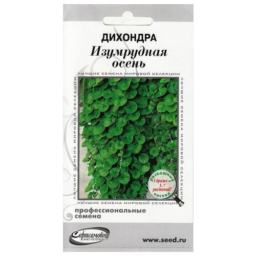 ������ ������ �������� ���������� �����, 3 ����� ����