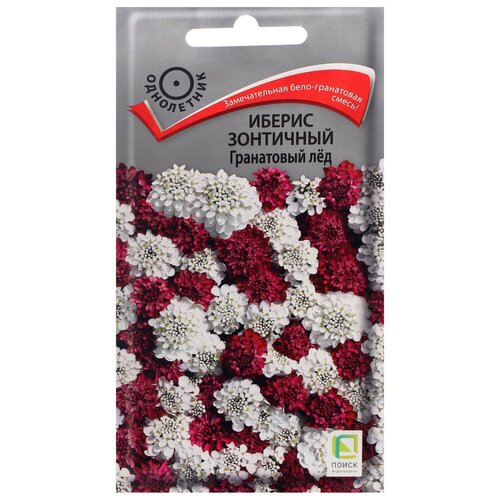 ������ ������ ������ ������ ������ ��������� ���������� ��� 0,1 � ����