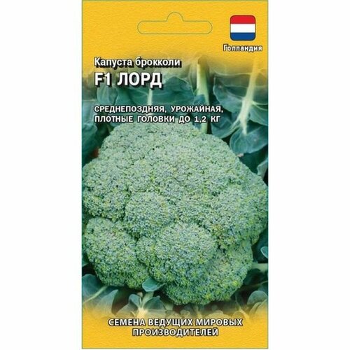 ������ ������ ������ ������� �������� ���� F1 (������) 10�� (���������) �19 ����