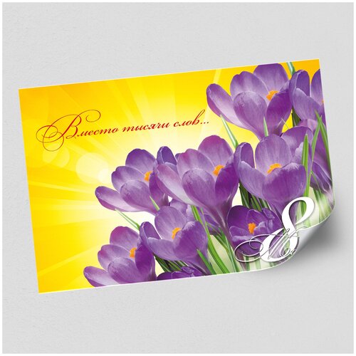 ������ ������ ����������/������ �������������� �� 8 �����, ������ �-1 (84x60 ��.) ����