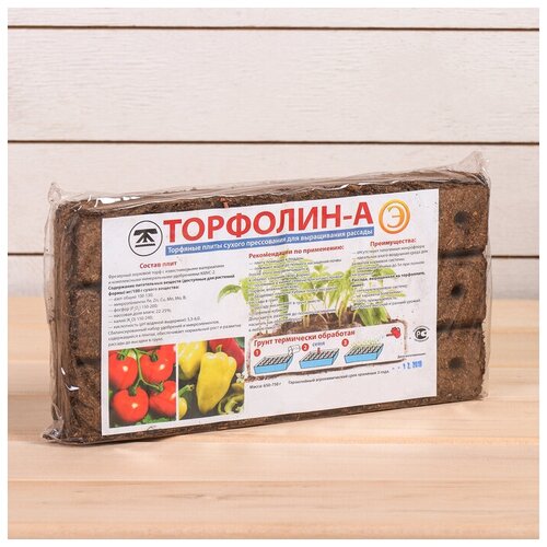 ������ ������ �������� �������� 18 �����, 