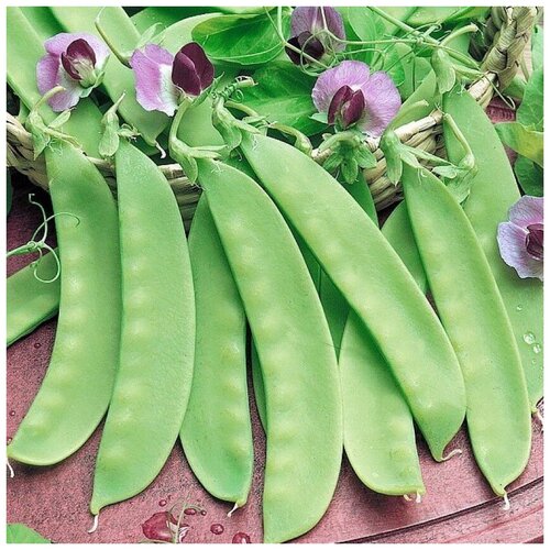 ������ ������ ������ ������ ����� �������� ������ �������� 25 ��. ����