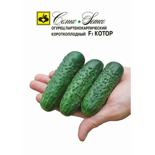 ������ ������ ������ 