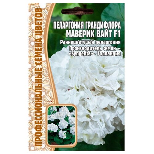 ������ ������ ������ ���������� ����������� 