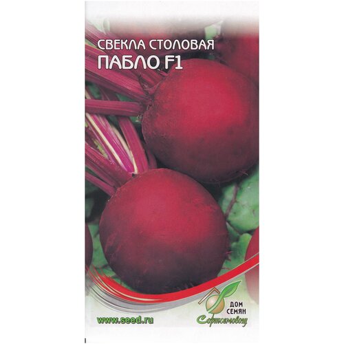 ������ ������ ������ ����� F1, 100 ����� ����