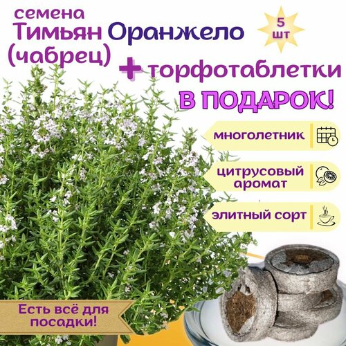 ������ ������ ������ ������ ������, ������ ������ + �������� �������� Jiffy � �������, 5 �� ����