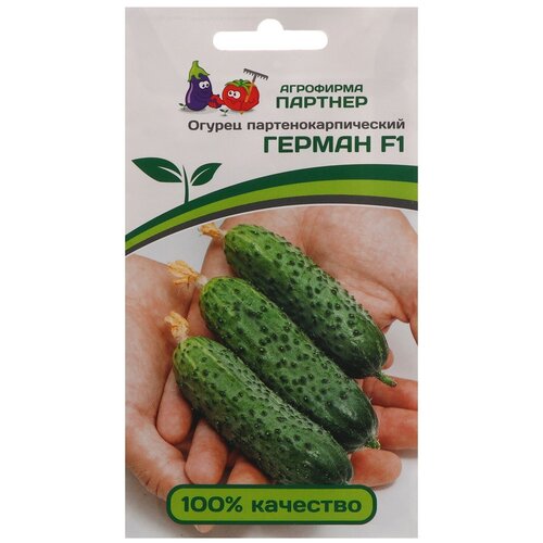 ������ ������ ������ ������ ������� ������ F1 5 ����� ����