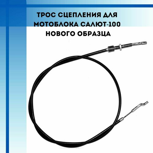 ������ ������ ���� ��������� ��� ���������� �����, ���� (������ �������) ����