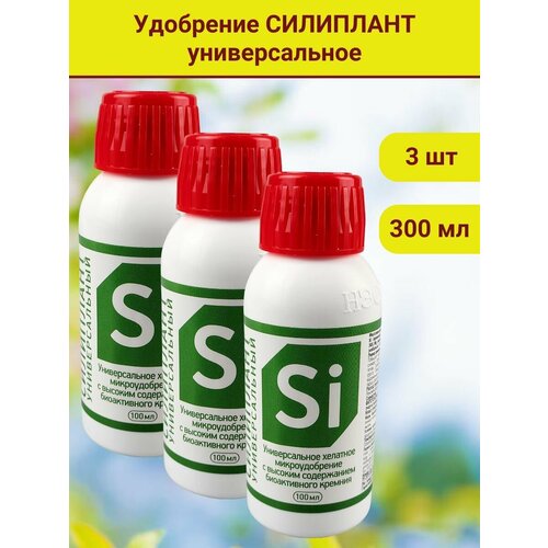 ������ ������ ����������������� ������������� ���������, ���������, 100 ��, 3 ��. ����