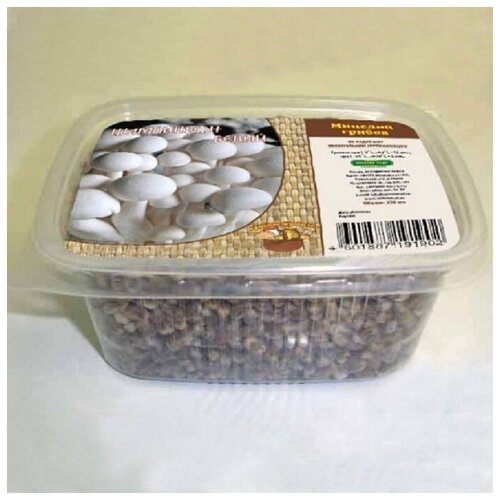 ������ ������ ����������, �������� ������� (125 �, 250 ��) , �� ����