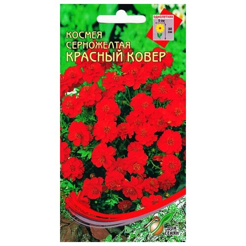 ������ ������ ������ ������� �����, ����������, 30 ����� ����