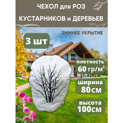 ������ ������ ����� ��� ���, ����������� � �������� 80�100/3�� ����