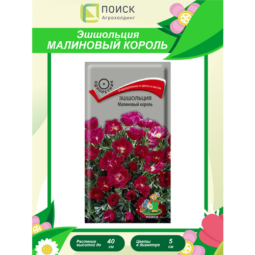 ������ ������ ������ ��������� ��������� ������ ���������� 0,2 ��. ����