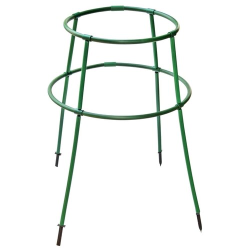 ������ ������ ����� ��� �������� ��������-���� 