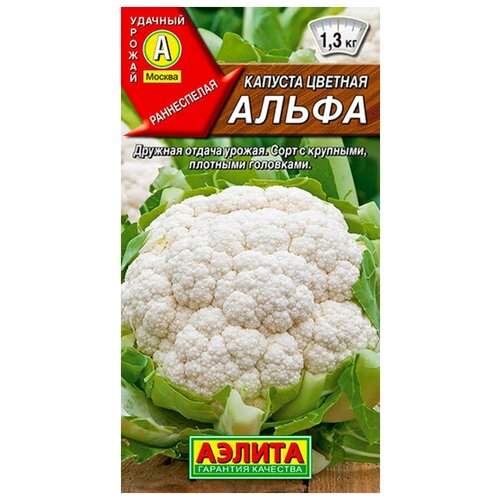 ������ ������ ������� ������� �����, ������ ������ ( 1 ��: 0,3 � ) ����