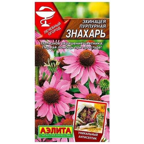 ������ ������ ������. �������� ��������� 