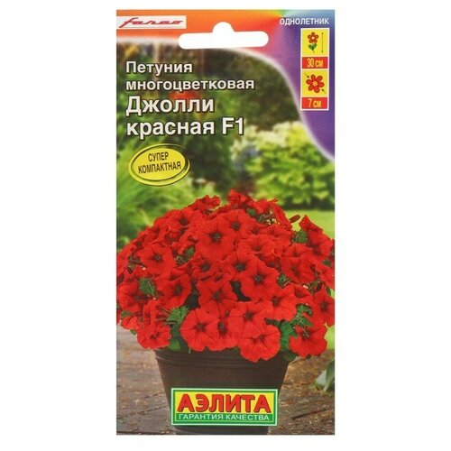 ������ ������ ������ ������ 