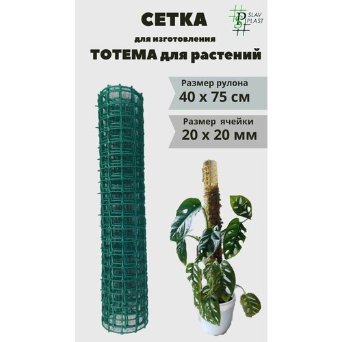 ������ ������ ����� ��� �����-����� ��� �������� 20�20 (07�0,4) �\� ����