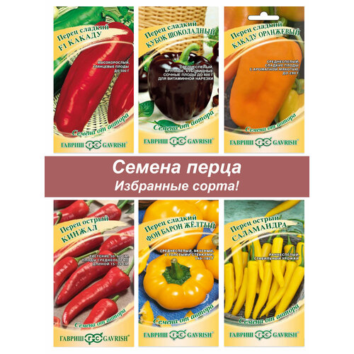 ������ ������ ����� �����, ������ ����� ������� � ������ ����