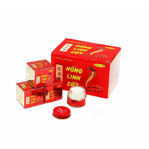 ������ ������ �������� ������� Hong Linh Cot �� ������� ����, 20� ����