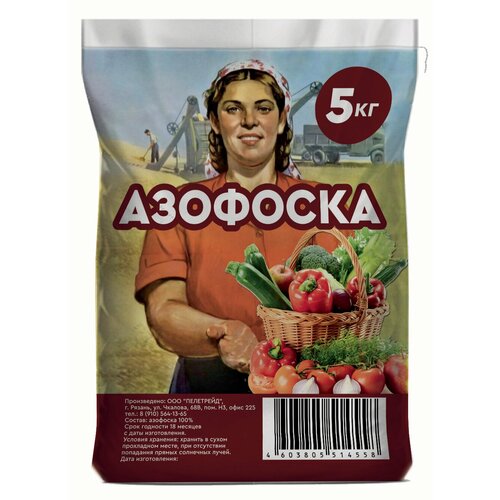 ������ ������ �������� ��������� ��� �������� ������� � ���� 5 �� ����