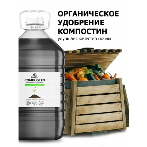 ������ ������ ���������� ��������������� ������ ��������� ��� �������� 5 � ����