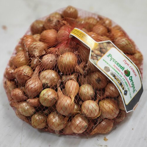 ������ ������ ���-����� ����������� ����� 22/30 (����� 1��) ������ ����