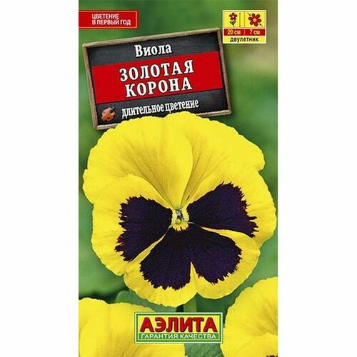 ������ ������ ����� 