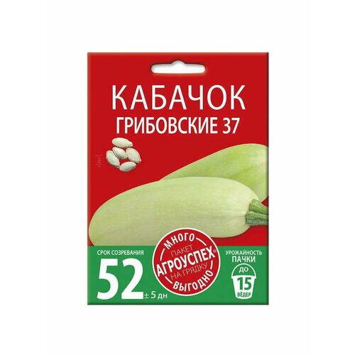 ������ ������ ������ ������� ���������� 37 10�� ����